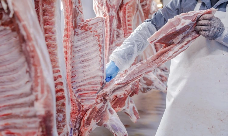 Et ve Et Ürünleri İşlemeciliği Kursu