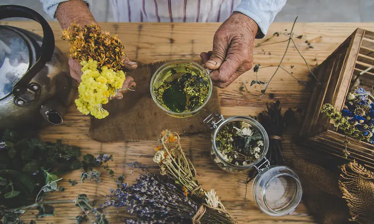 Tıbbi ve Aromatik Bitki Yetiştiriciliği, Arıcılık, Arı Sütü Üretimi ve Ana Arı Yetiştiriciliği Eğitim Paketi