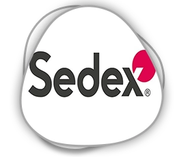 Sedex Eğitimi Kurs Programı 